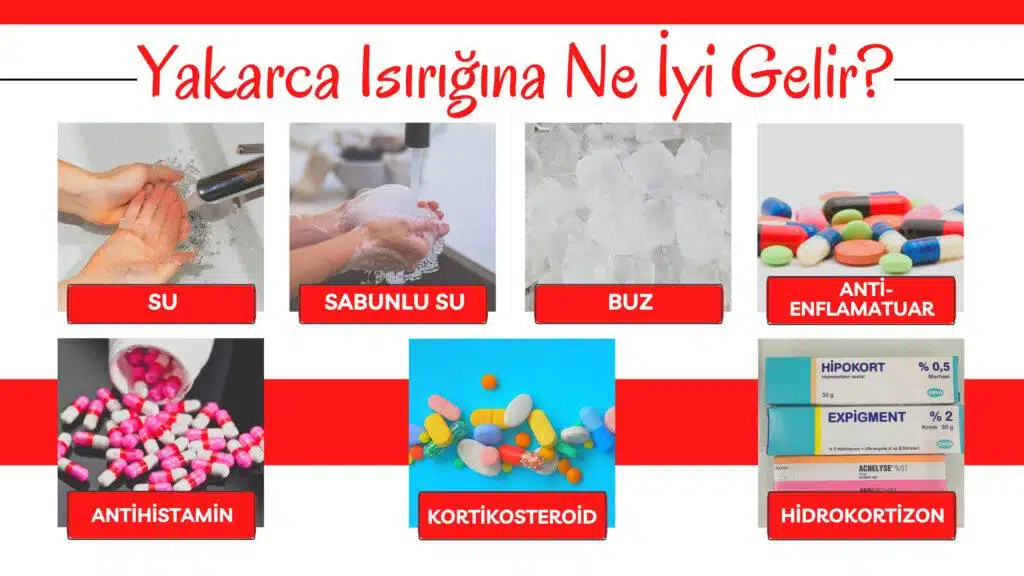 yakarca ısırığına ne iyi gelir