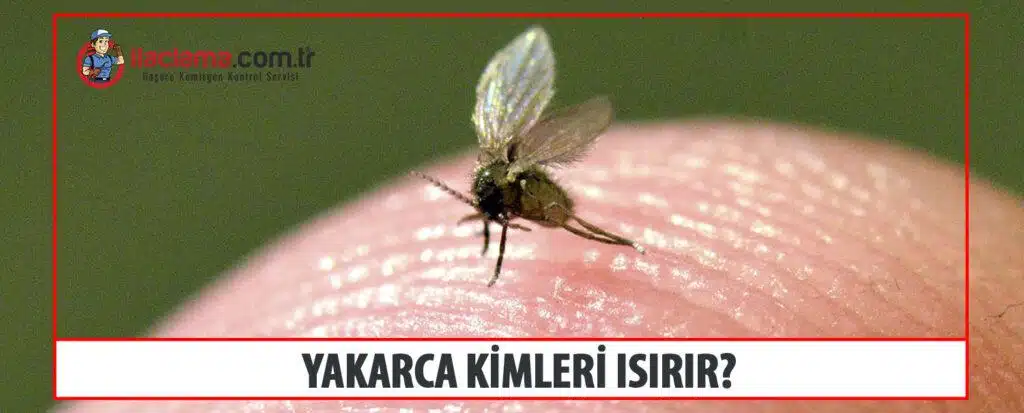 yakarca kimleri ısırır