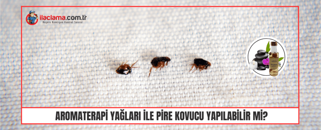 Aromaterapi Yağları ile Pire Kovucu Yapılabilir mi