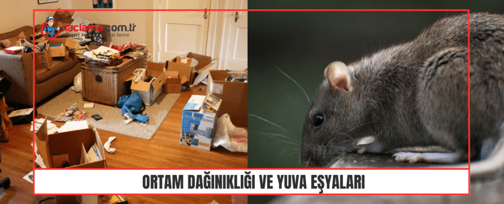 fare dağınık ortama ve eşyalara gelir