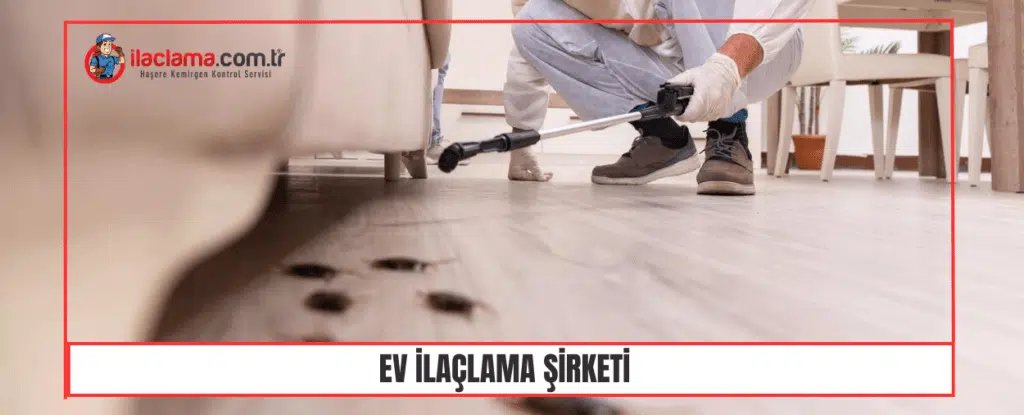 ev ilaçlama şirketi ilaclama.com.tr