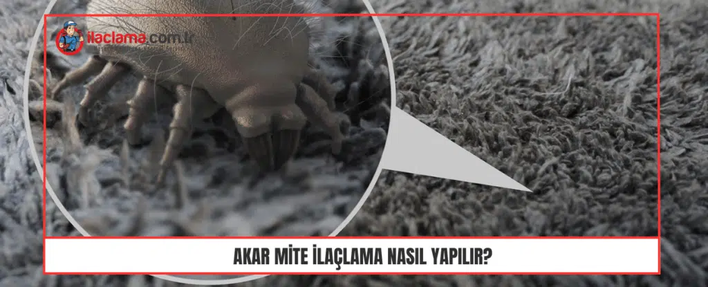 Akar Mite İlaçlama Nasıl Yapılır