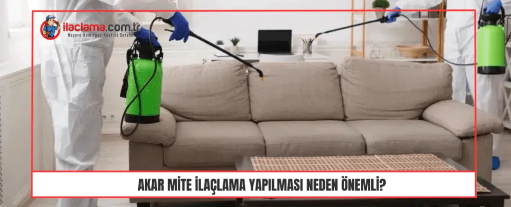 Akar Mite İlaçlama Yapılması Neden Önemli