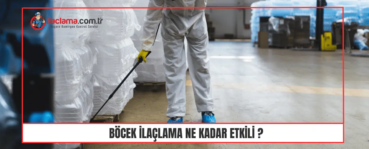 Böcek ilaçlama ne kadar etkili