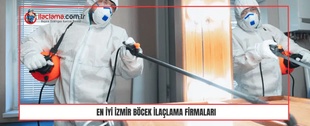 En iyi izmir böcek ilaçlama firmaları